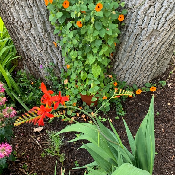 Meet your Posher, Karen - Picture 3 of 3